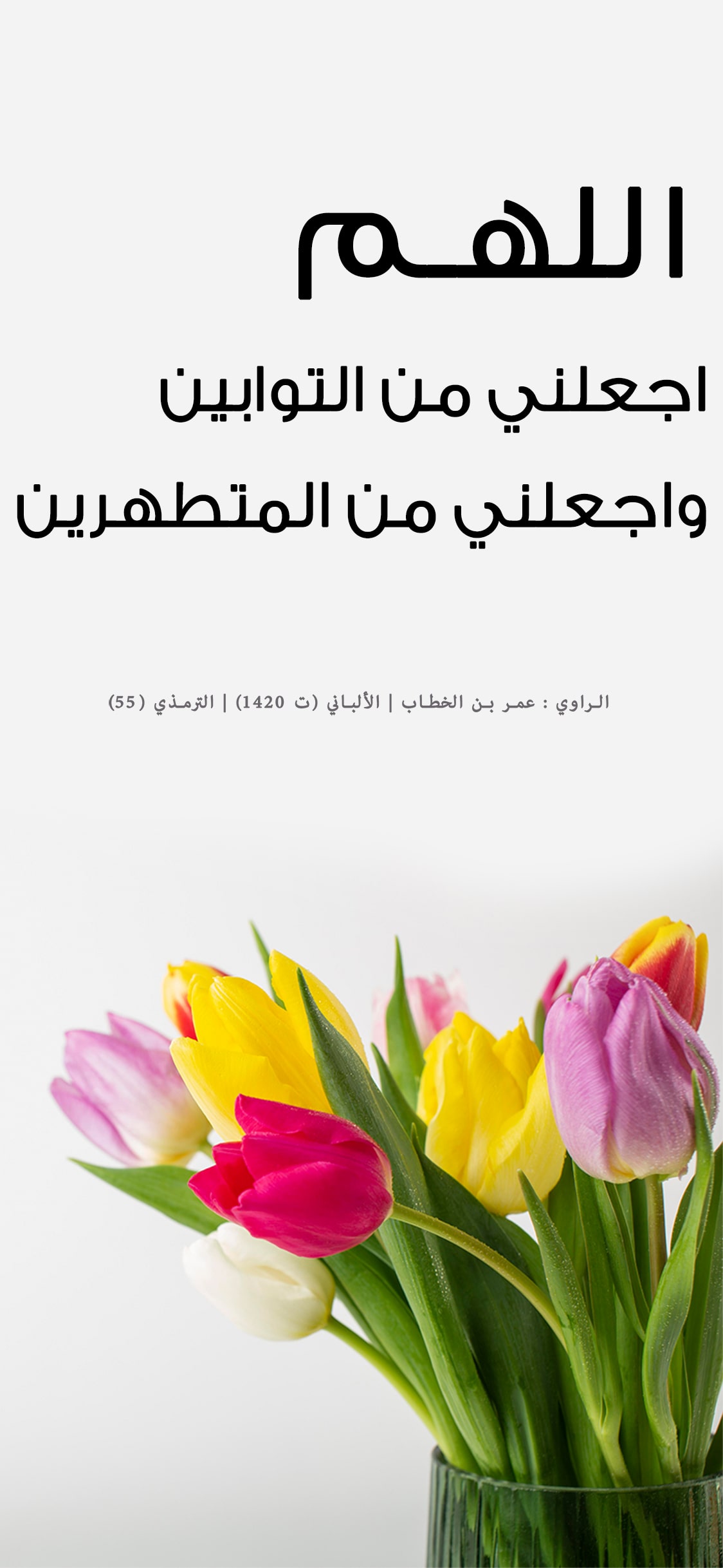 يوجد مشكلة فى الصورة